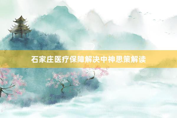 石家庄医疗保障解决中神思策解读
