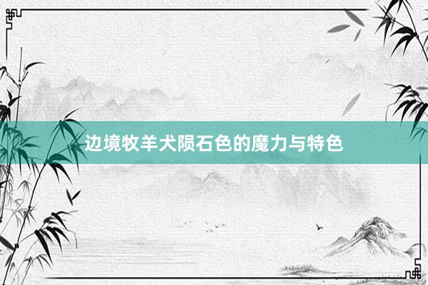 边境牧羊犬陨石色的魔力与特色