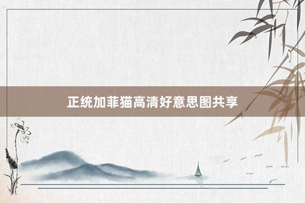 正统加菲猫高清好意思图共享
